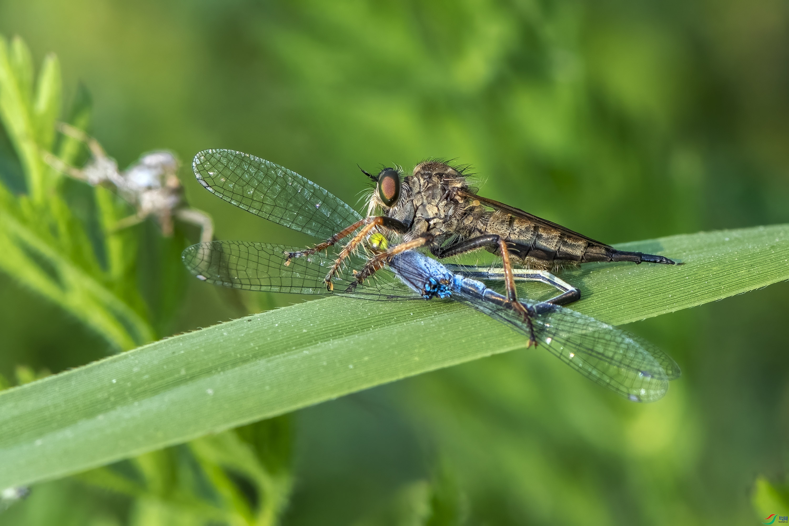 DSC_7925.jpg