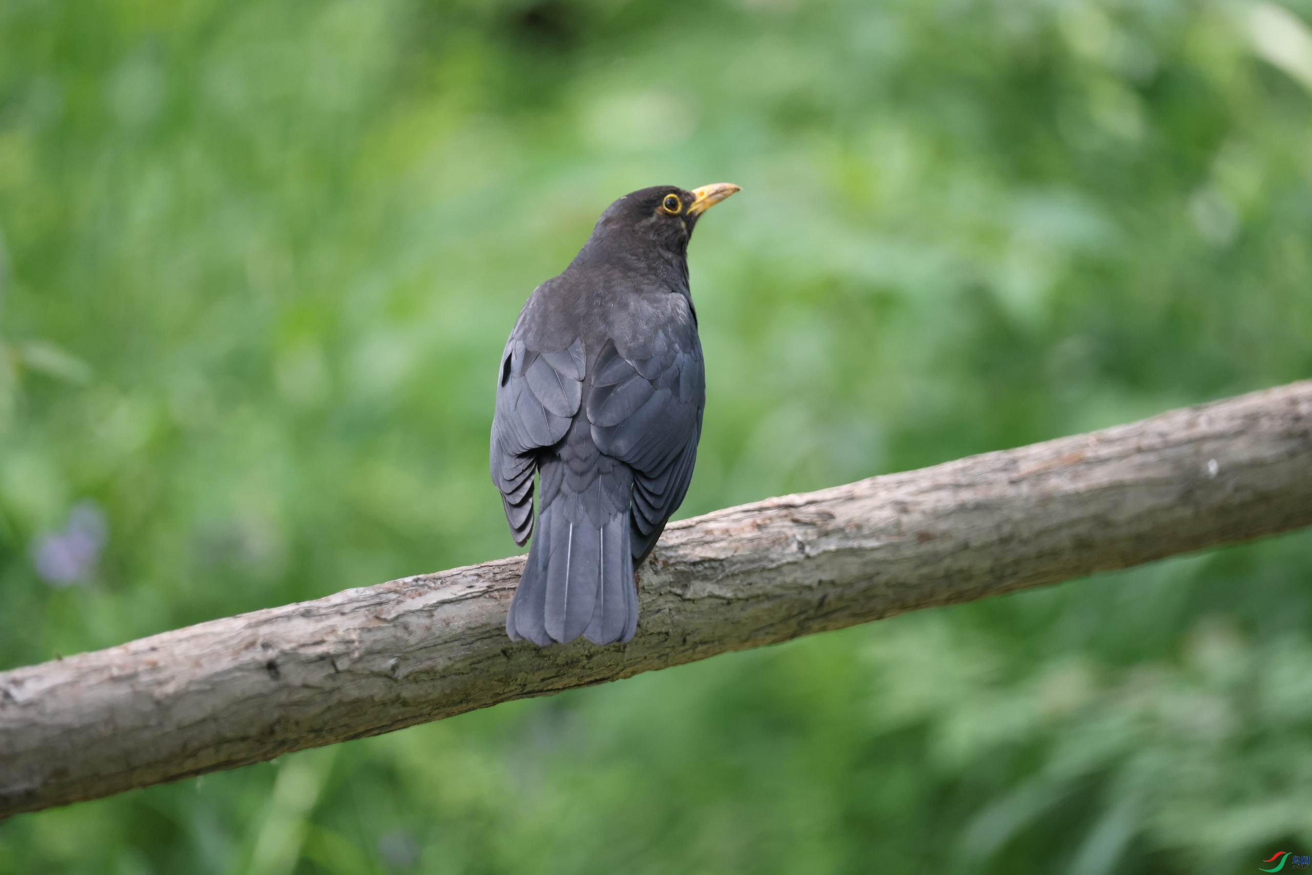 ������С 0E5A4089.JPG