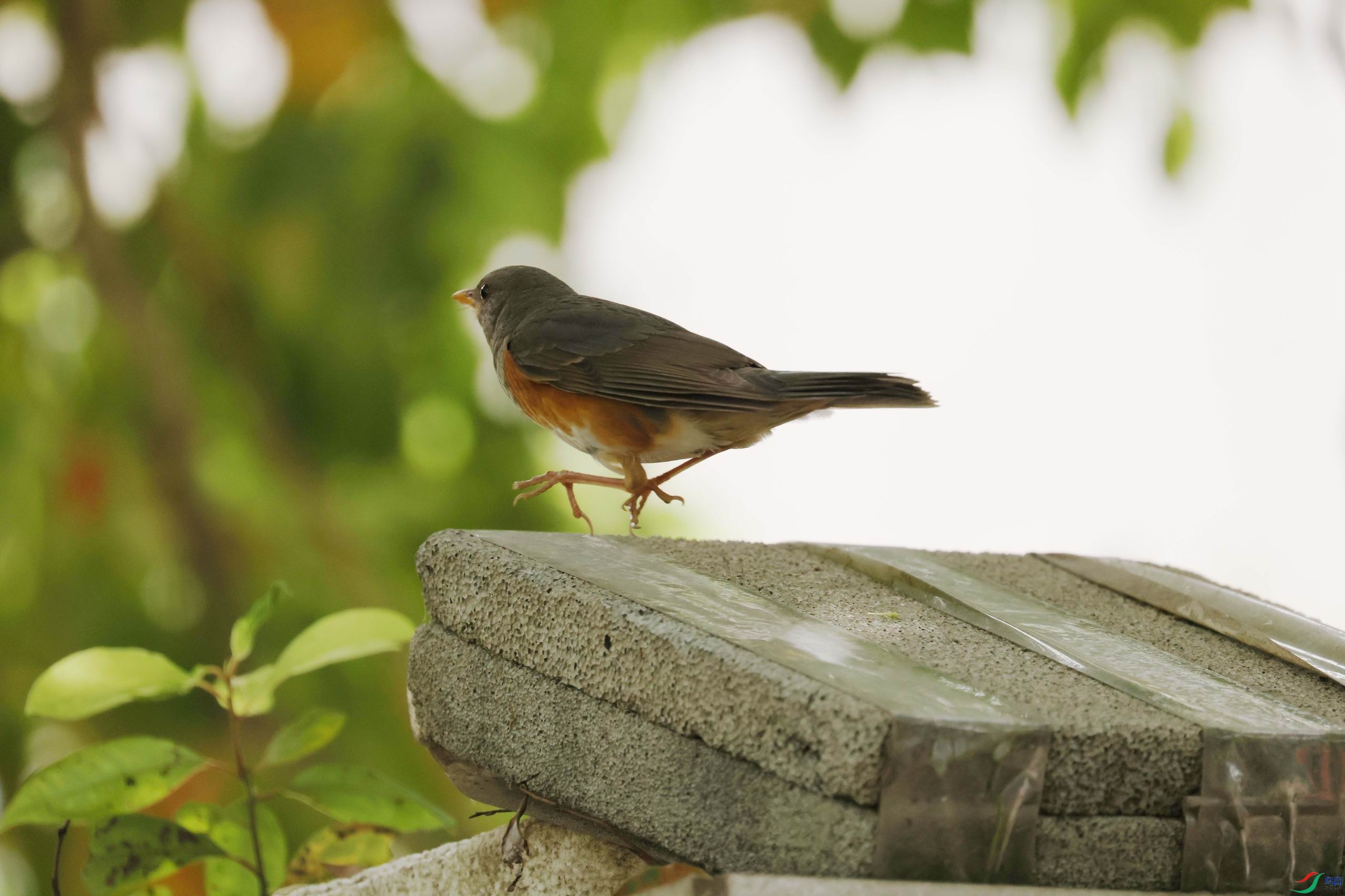 ������С 0E5A2389111.jpg