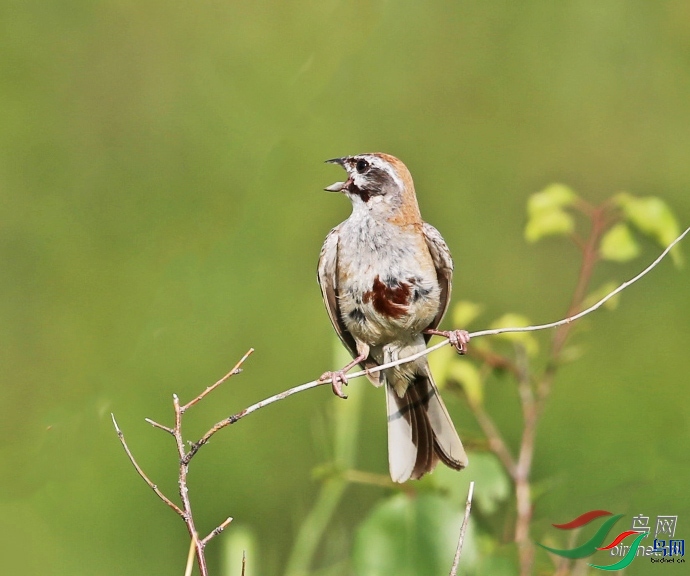 0529  ��ʦ���������ɹ��������˰��˿ƶ�����������.jpg