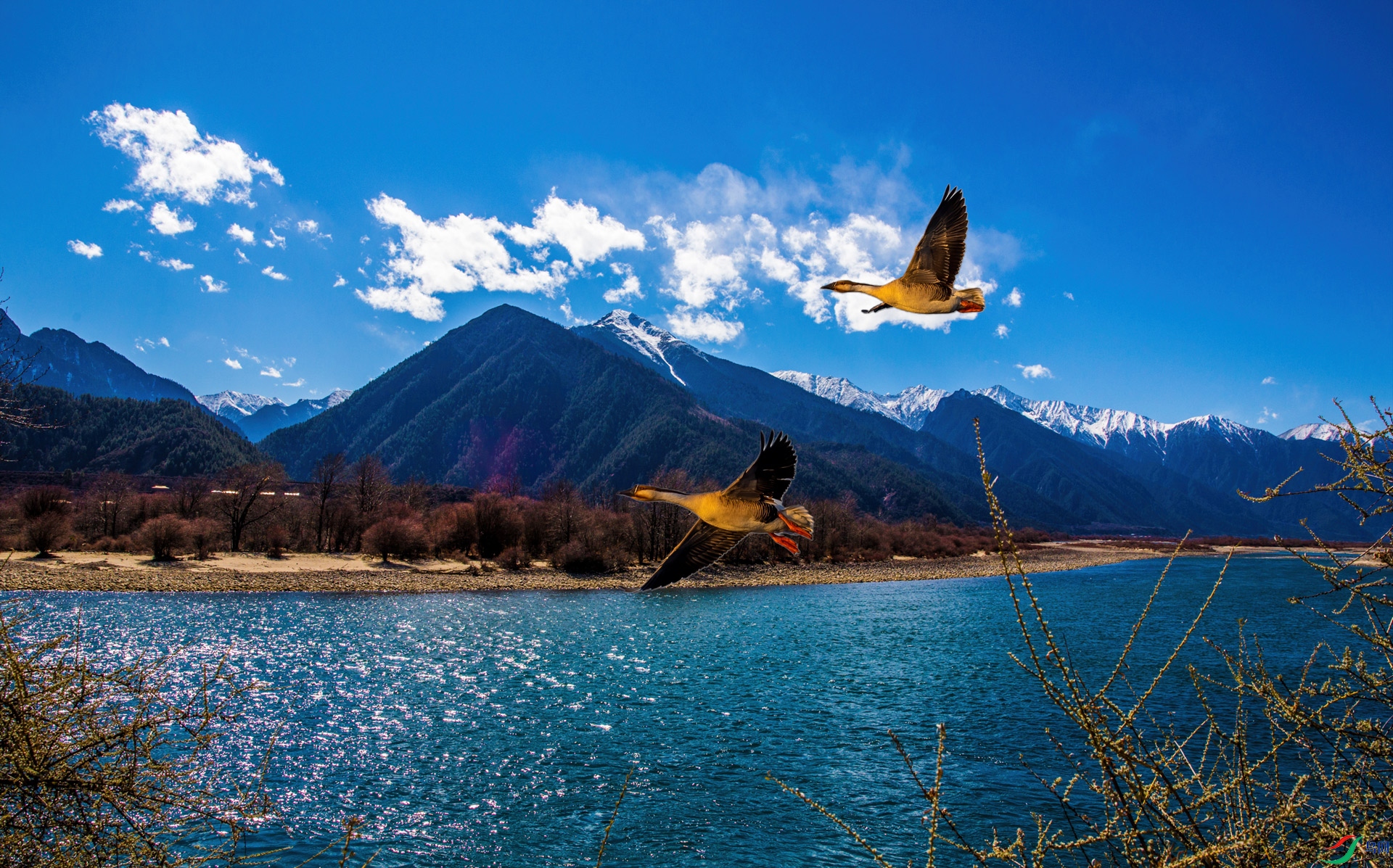 0D7A4970-mask-composite.jpg