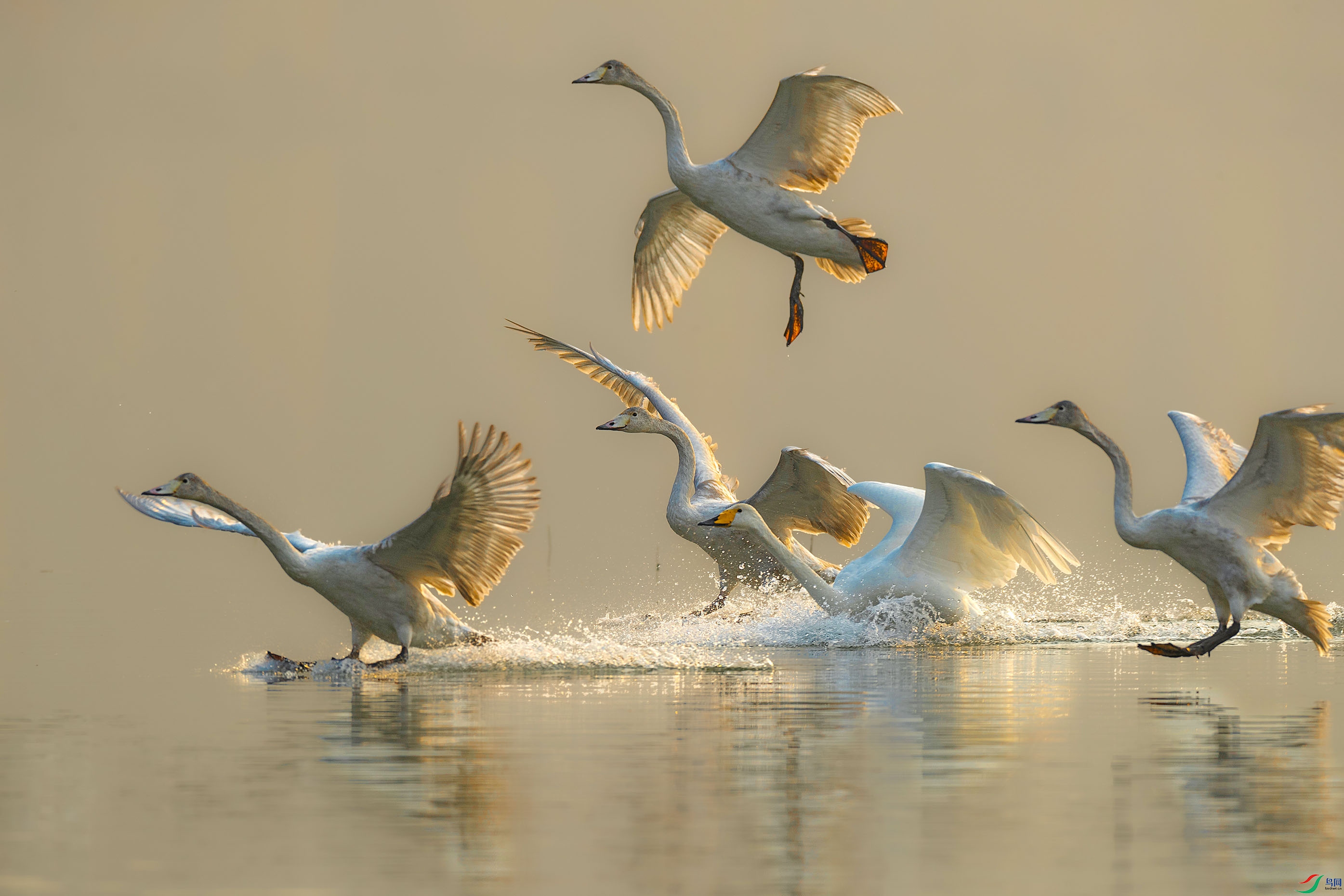 AD1I7772 (2).jpg1.jpg