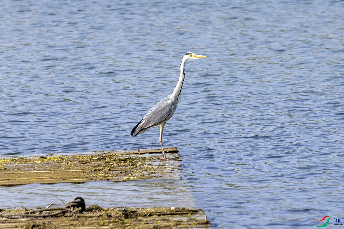 �������30������