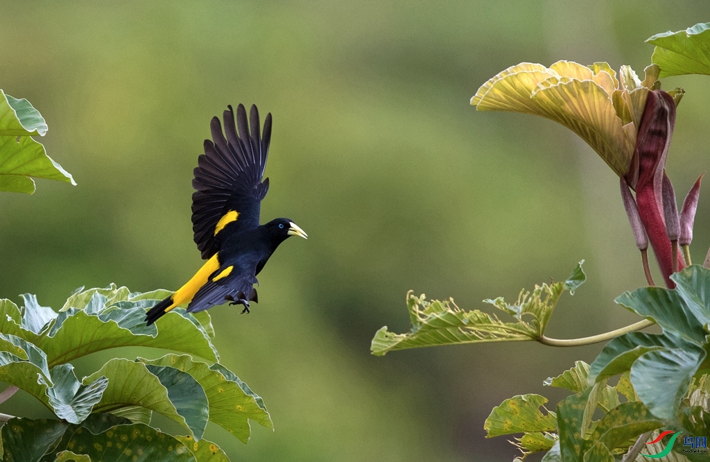 5 (2)_����.jpg