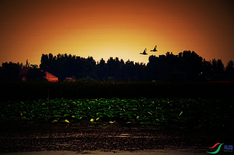 С�� 120_����1_����.jpg