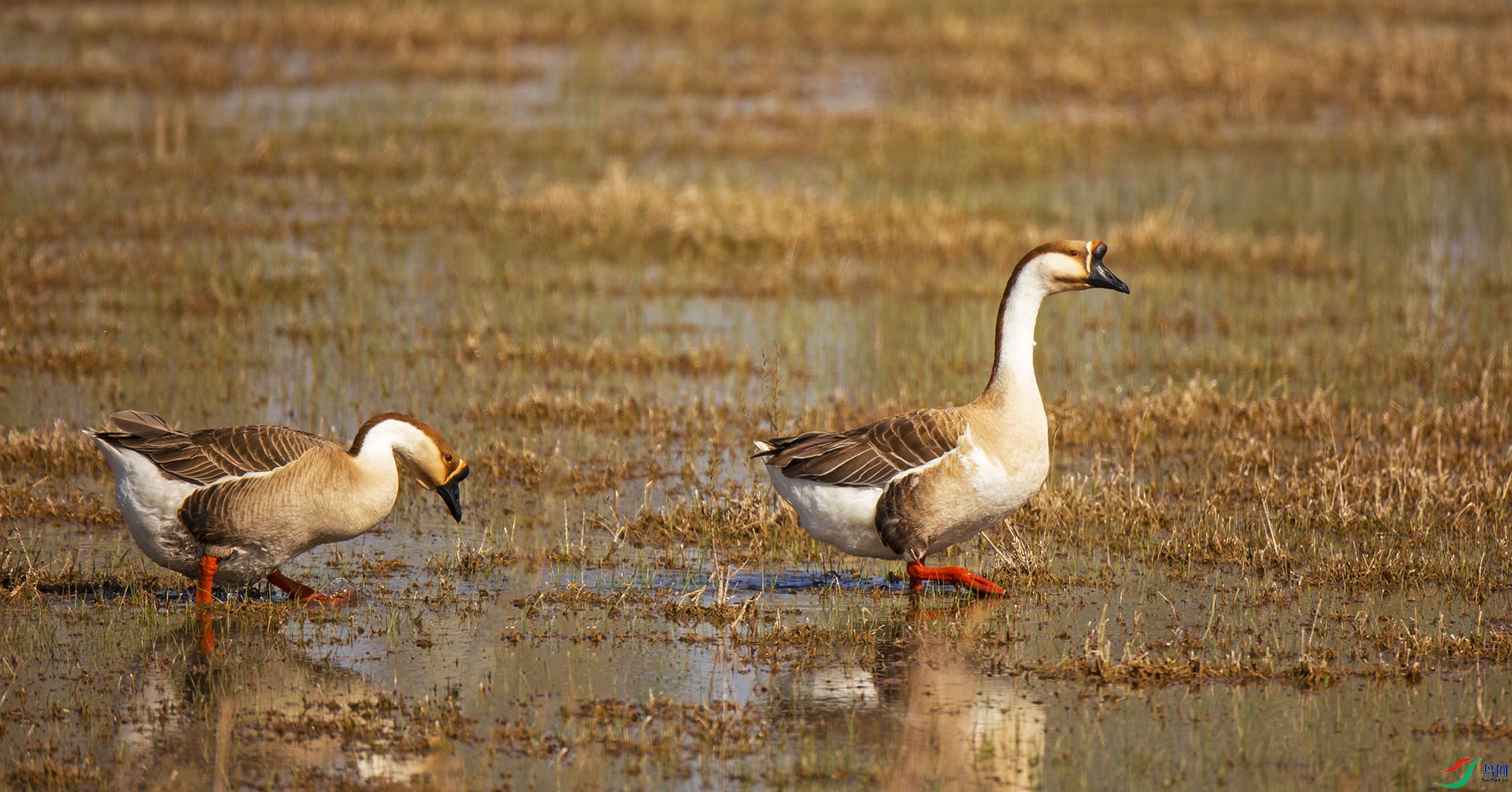 1D6A8425-.jpg