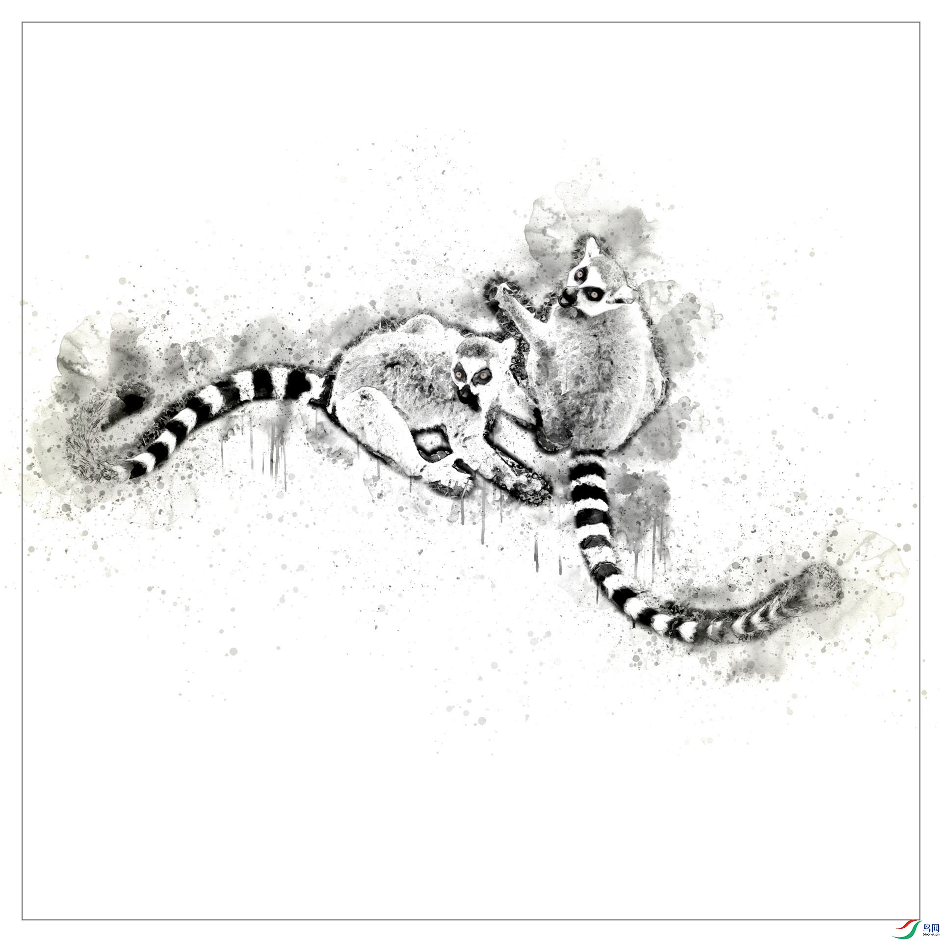 ��β����