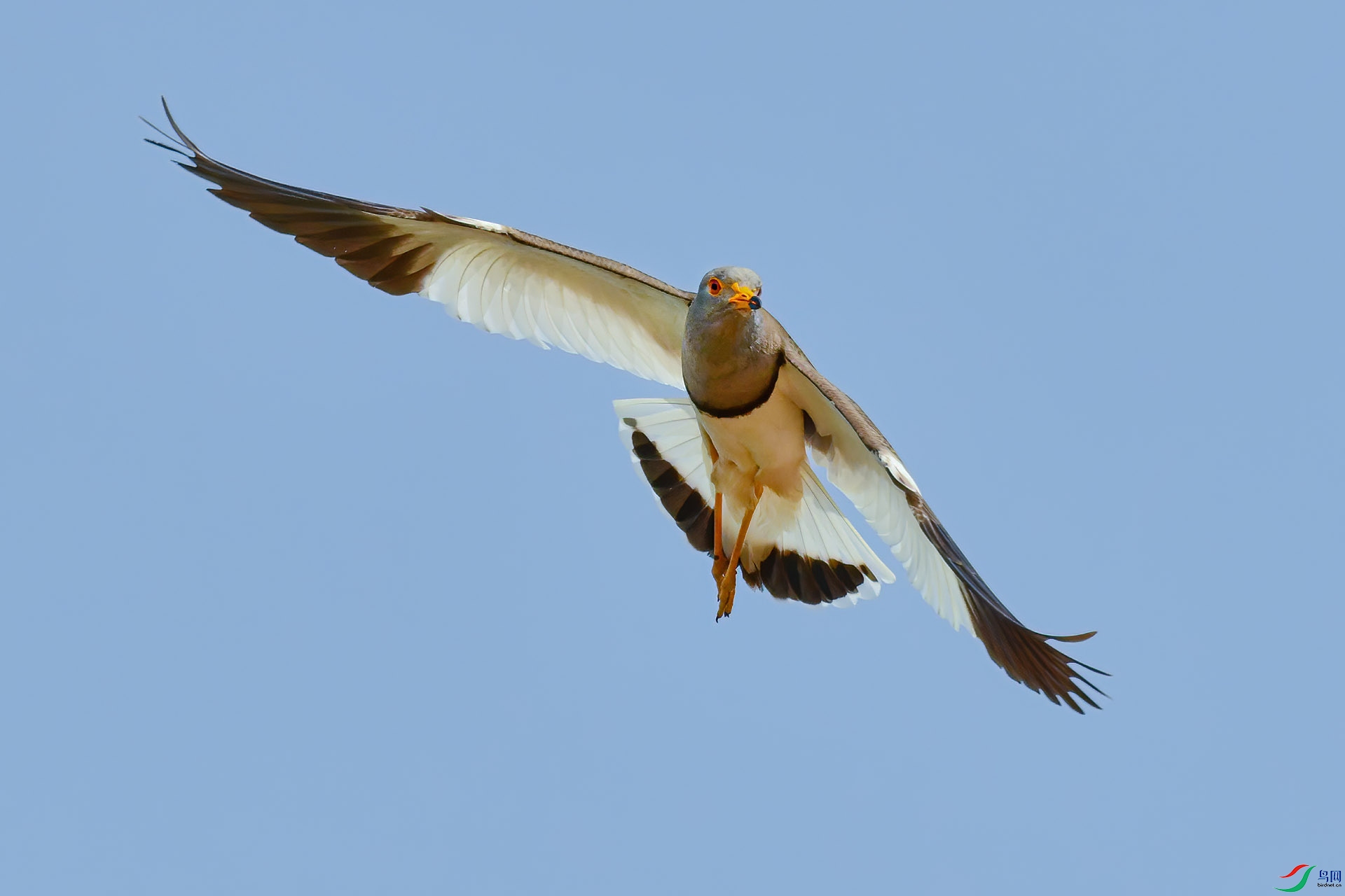DSC_0481.jpg
