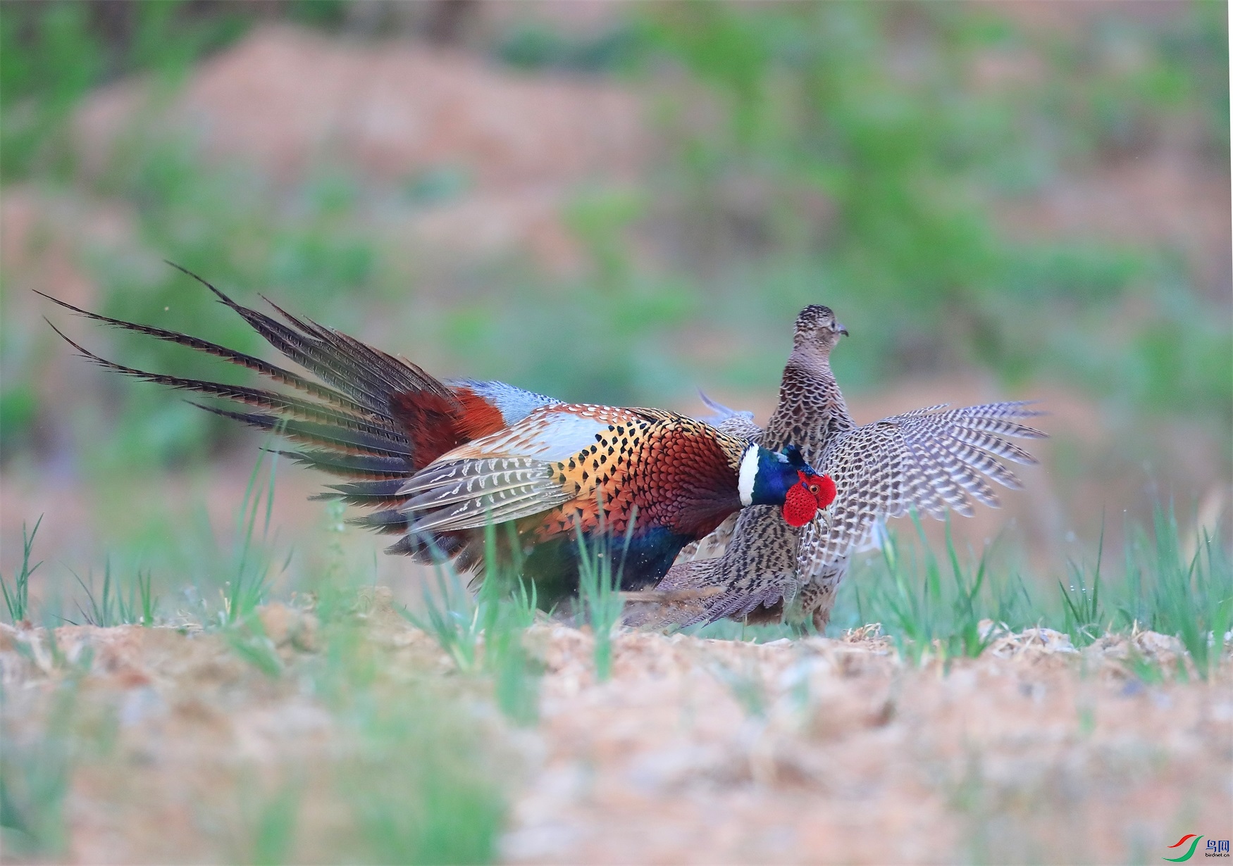 2 - ����.JPG