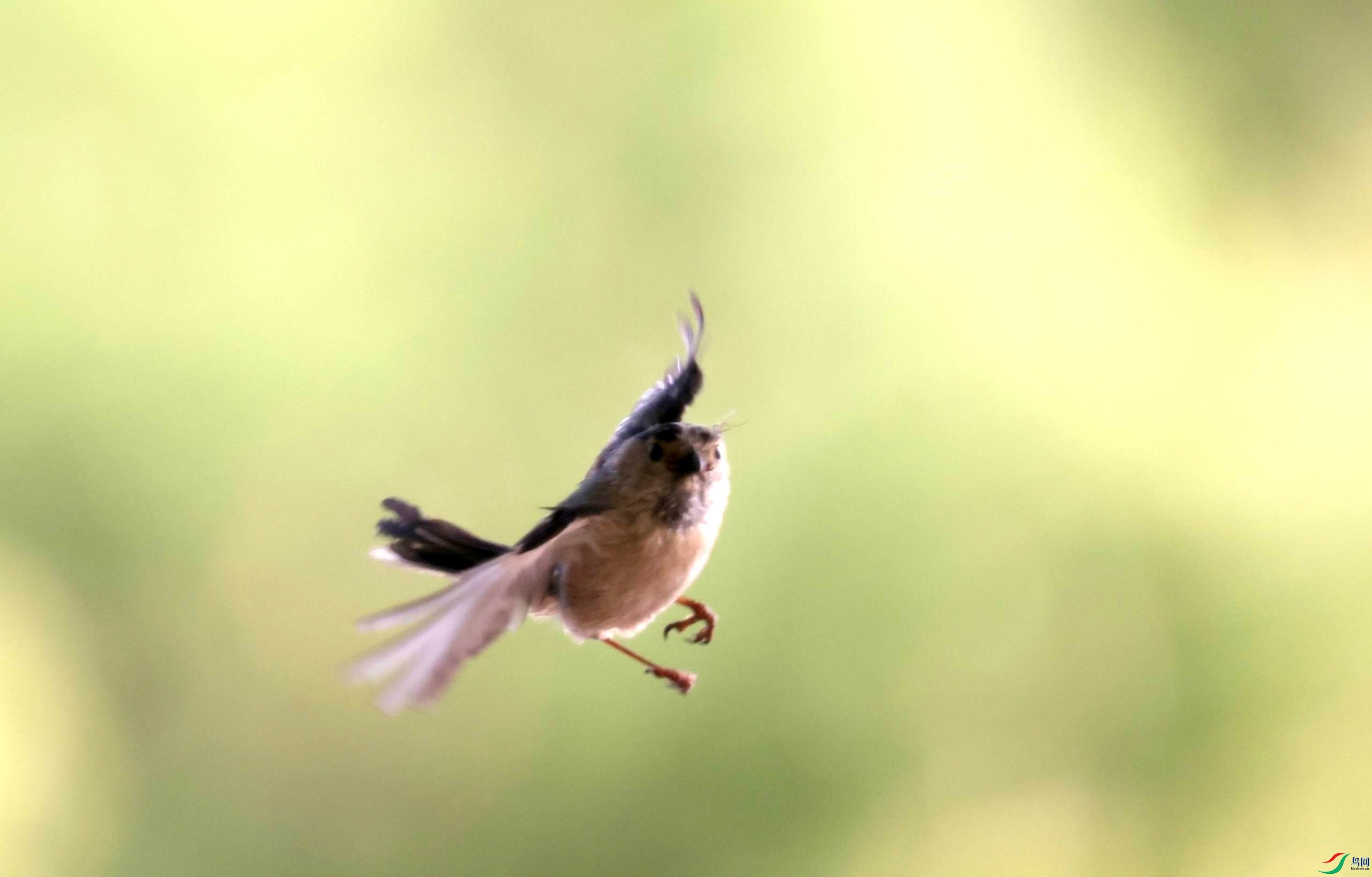 �����ع� ������С �����ع� 0E5A4403.JPG