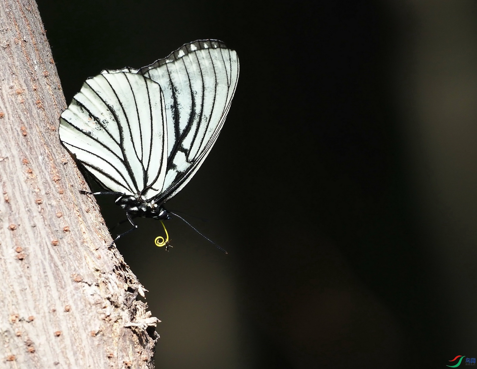 ���ǰ��̵�����ɫ��-���ԣ� (12).jpg