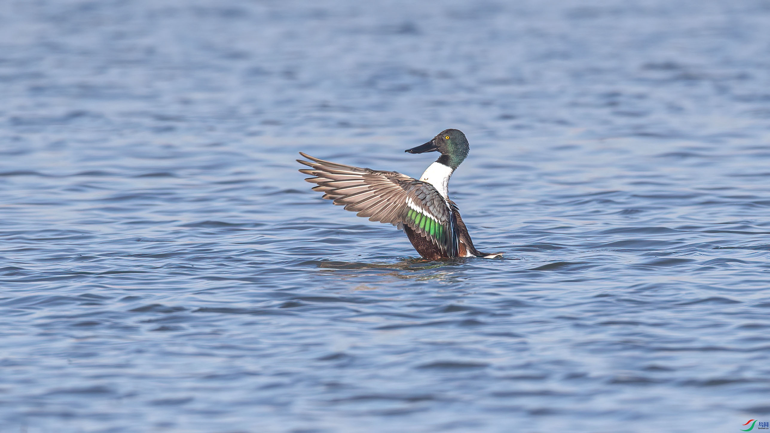 1DX_9024 ���� 2.jpg