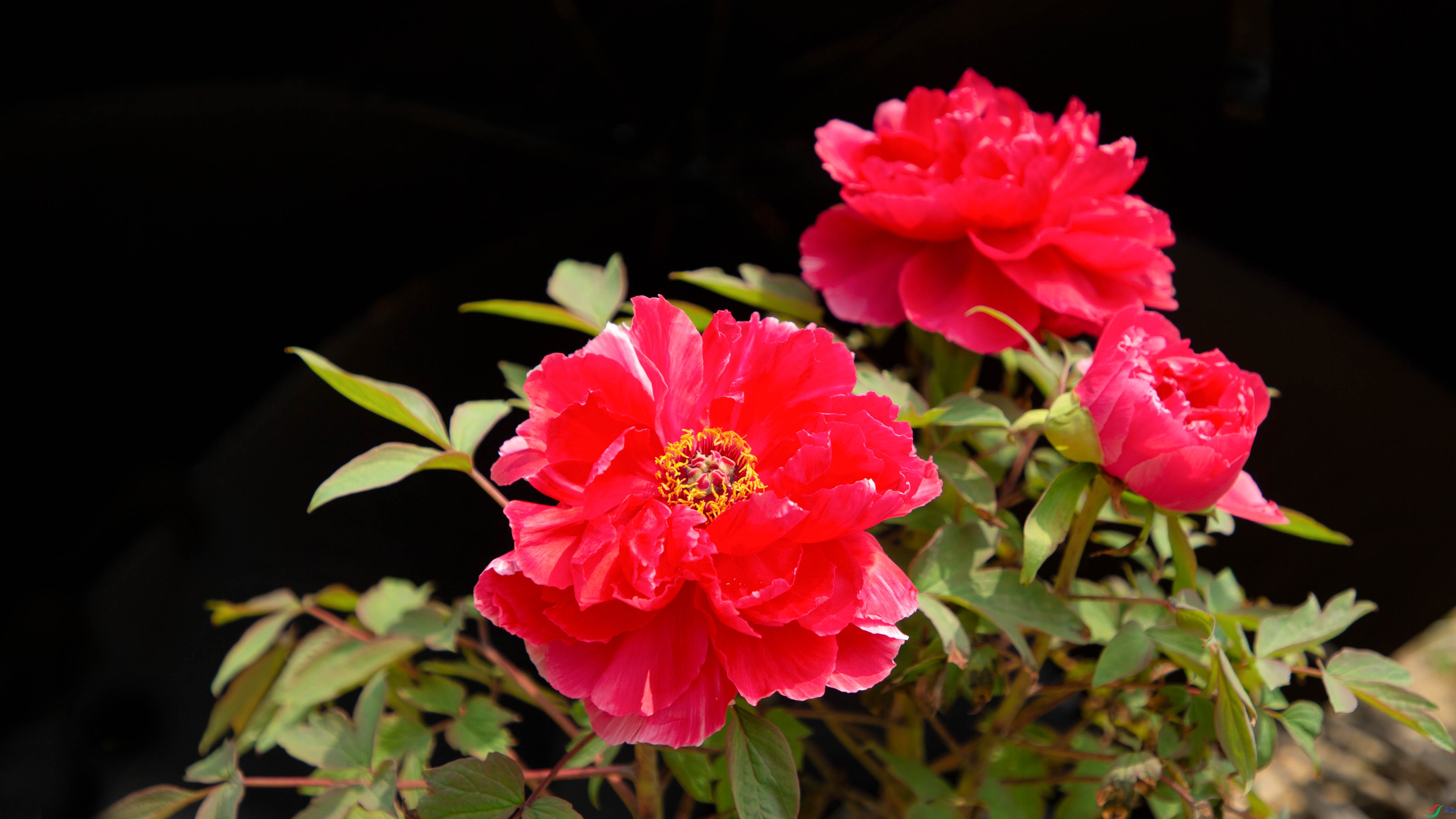 _R9W0053 ����.jpg