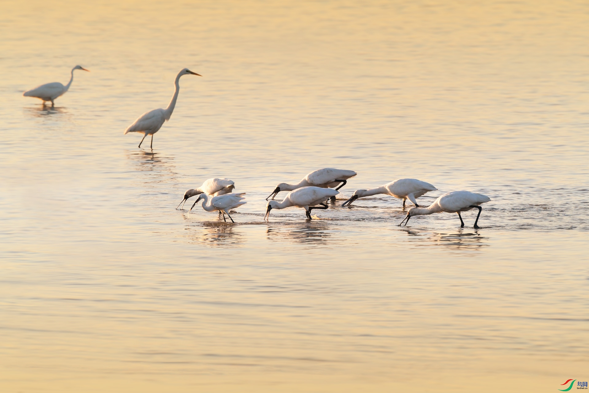 DSC_7136 ����.jpg