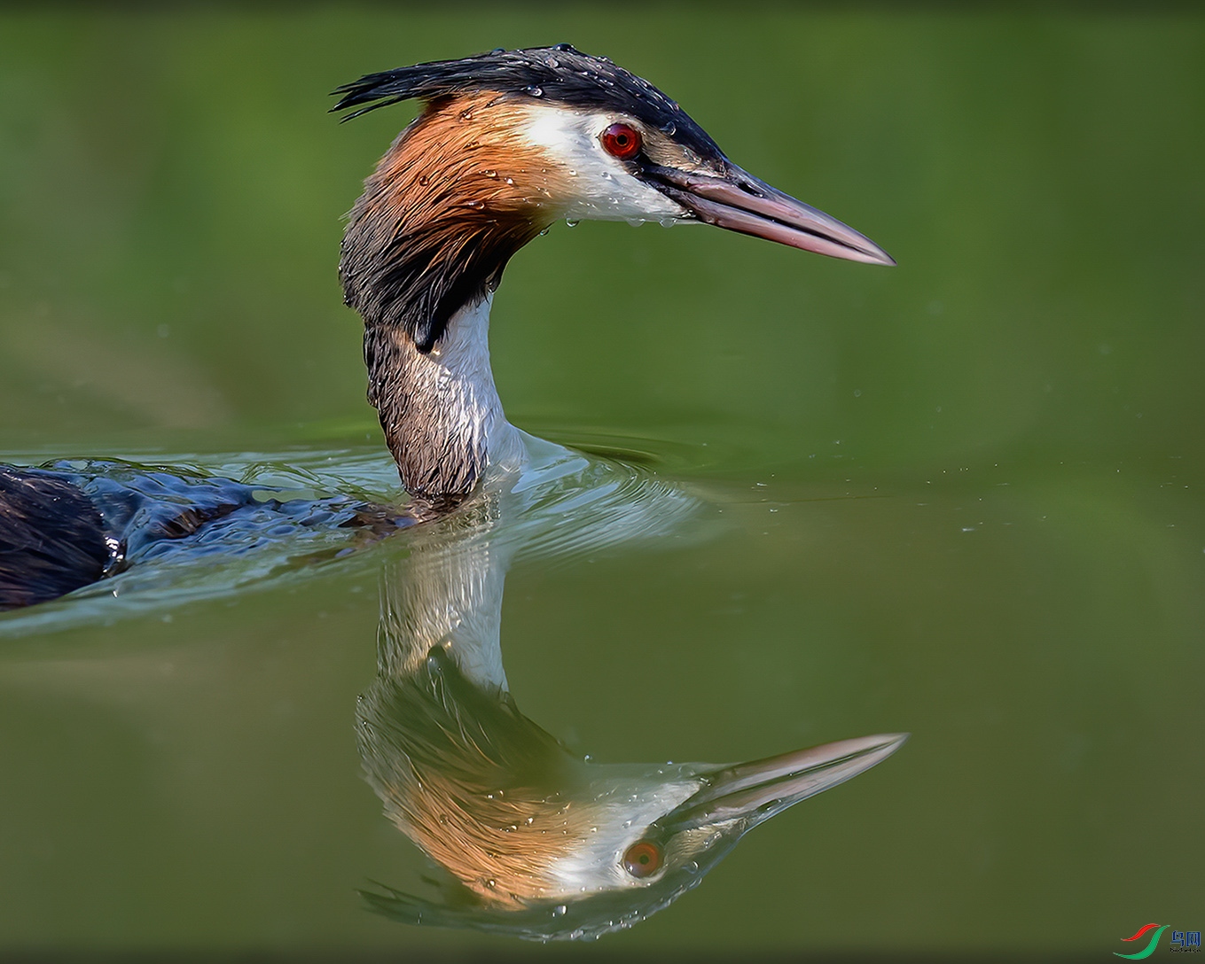 ������֣�������Ӻ��ϡ�