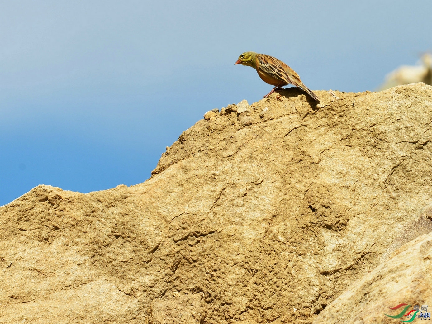 �����-  ��ʦ��������.��.ά.��.������������̩����������.jpg