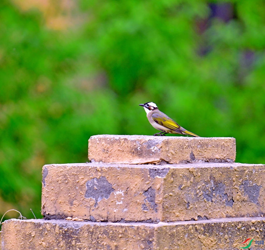 DSC_3657.jpg