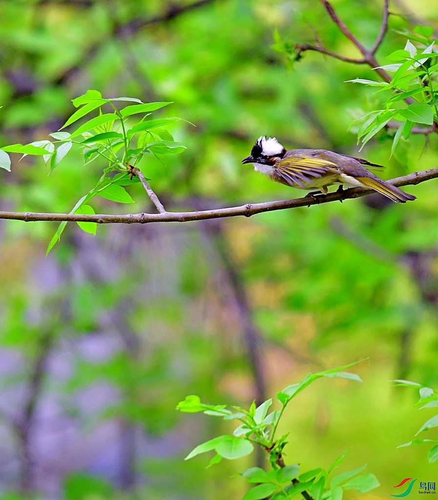 DSC_3653.jpg