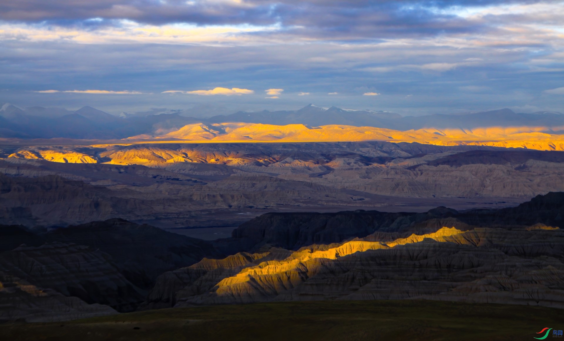 _MG_6583-denoise-denoise (1).jpg