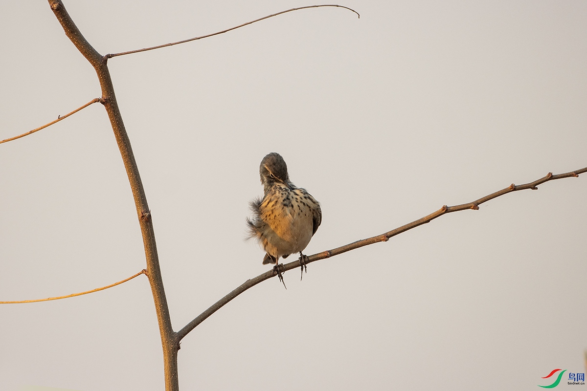 IMG_7533�Ƹ��� .jpg