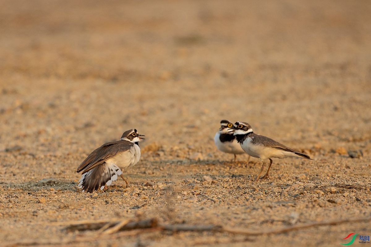 IMG_7360����a .jpg