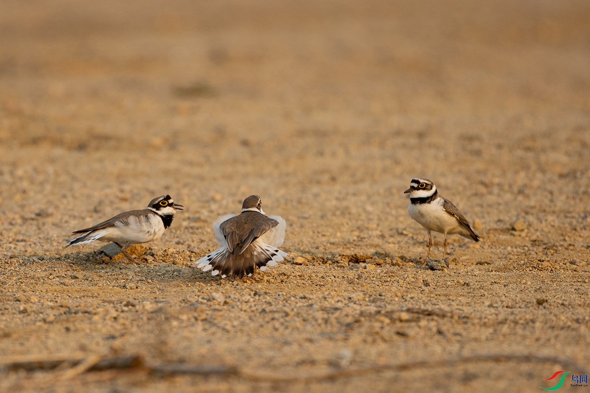 IMG_7373����a .jpg