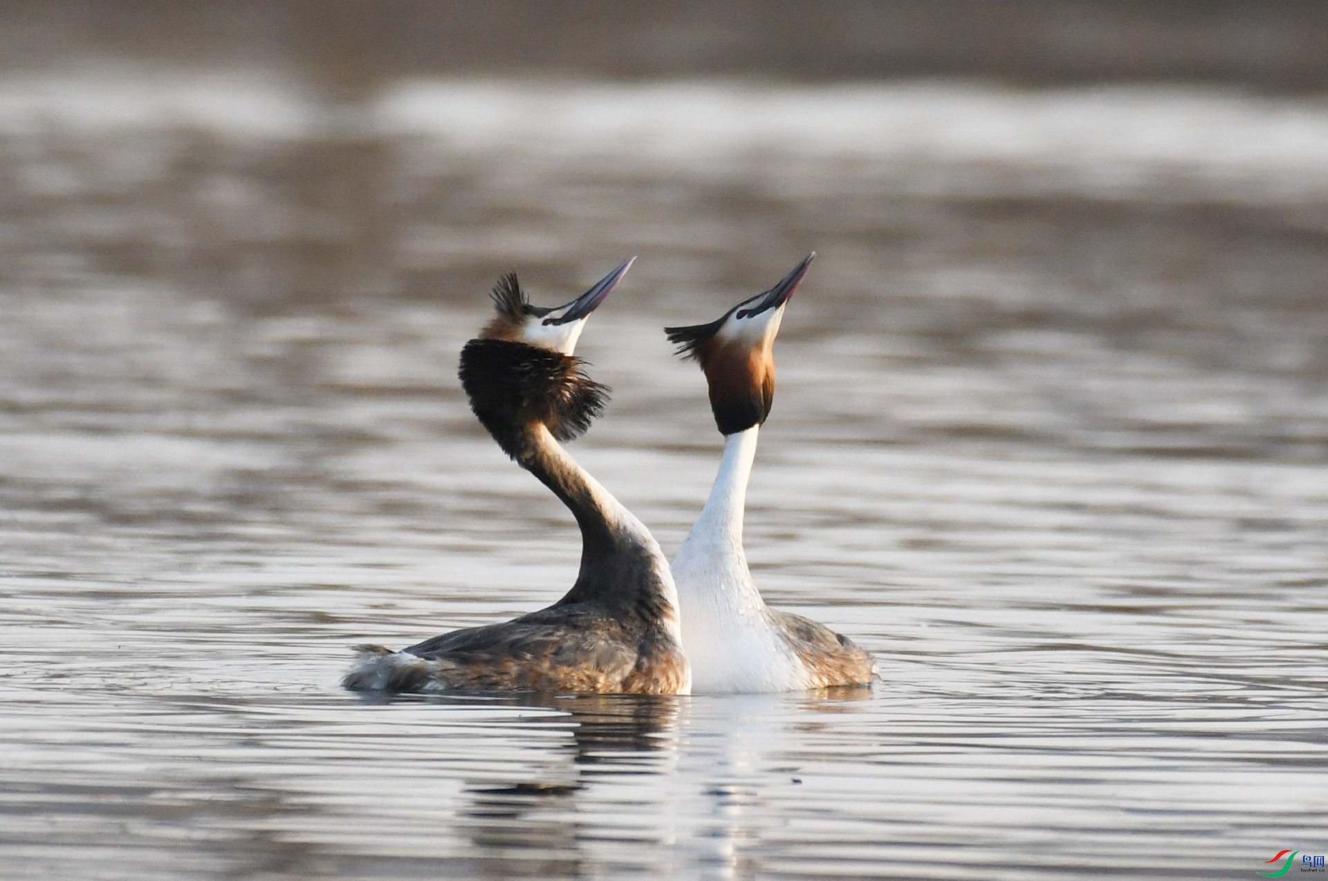 ������Ӱ 597����.jpg