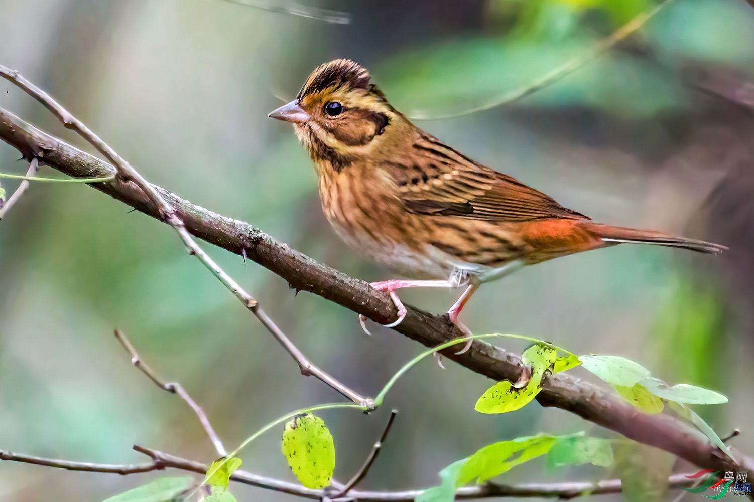 tcyq  ��ʦ�����ڰ���ʡ�����������.jpg