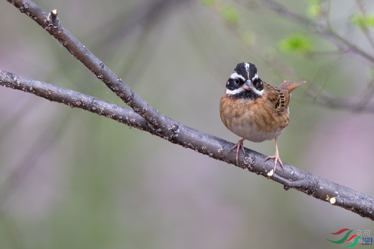 ����  ��ʦ�����ں�����ʡ������.jpg