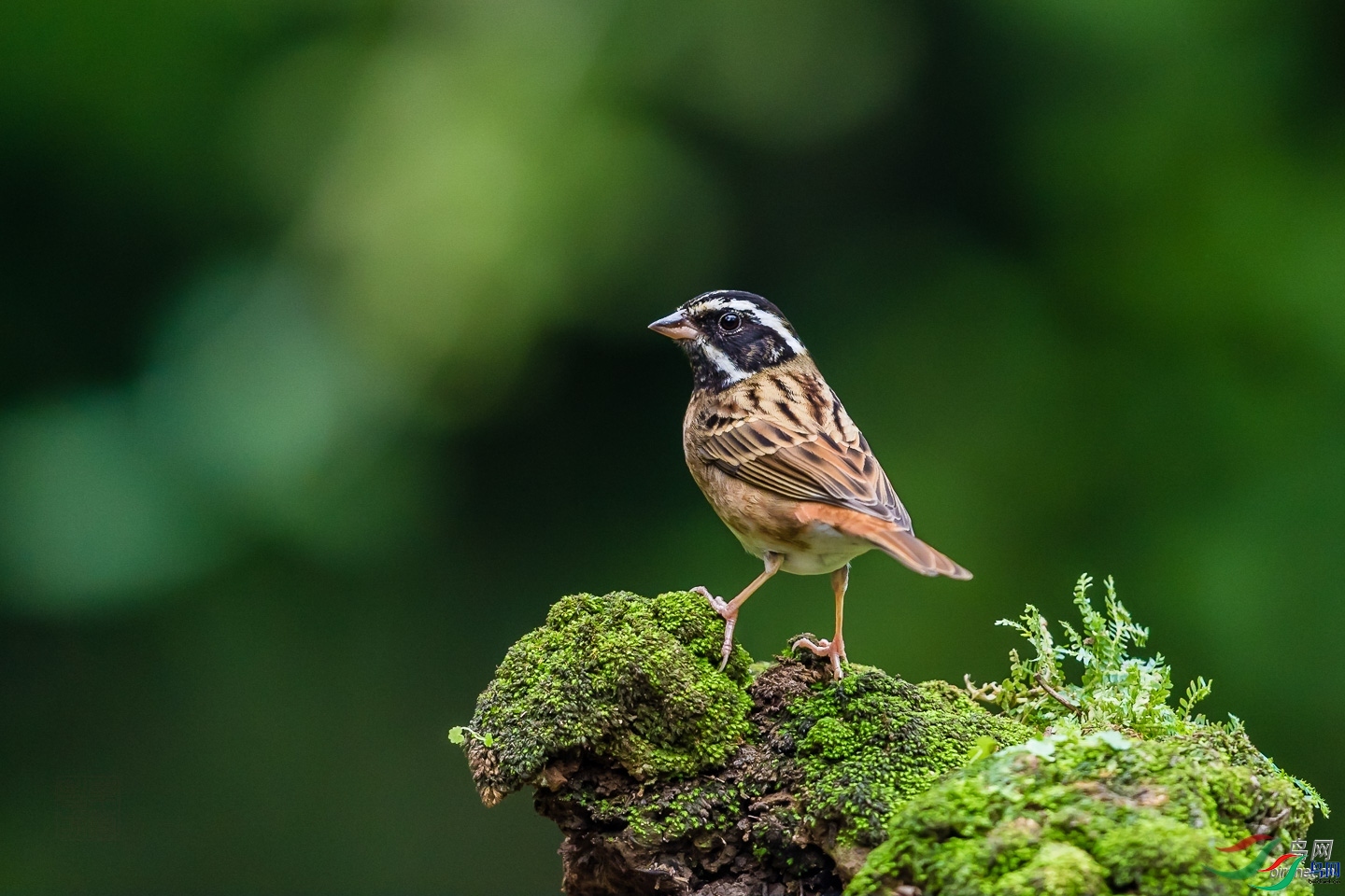 ��ݸ�Ϸ�  ��ʦ�����ڹ㶫ʡ������.jpg