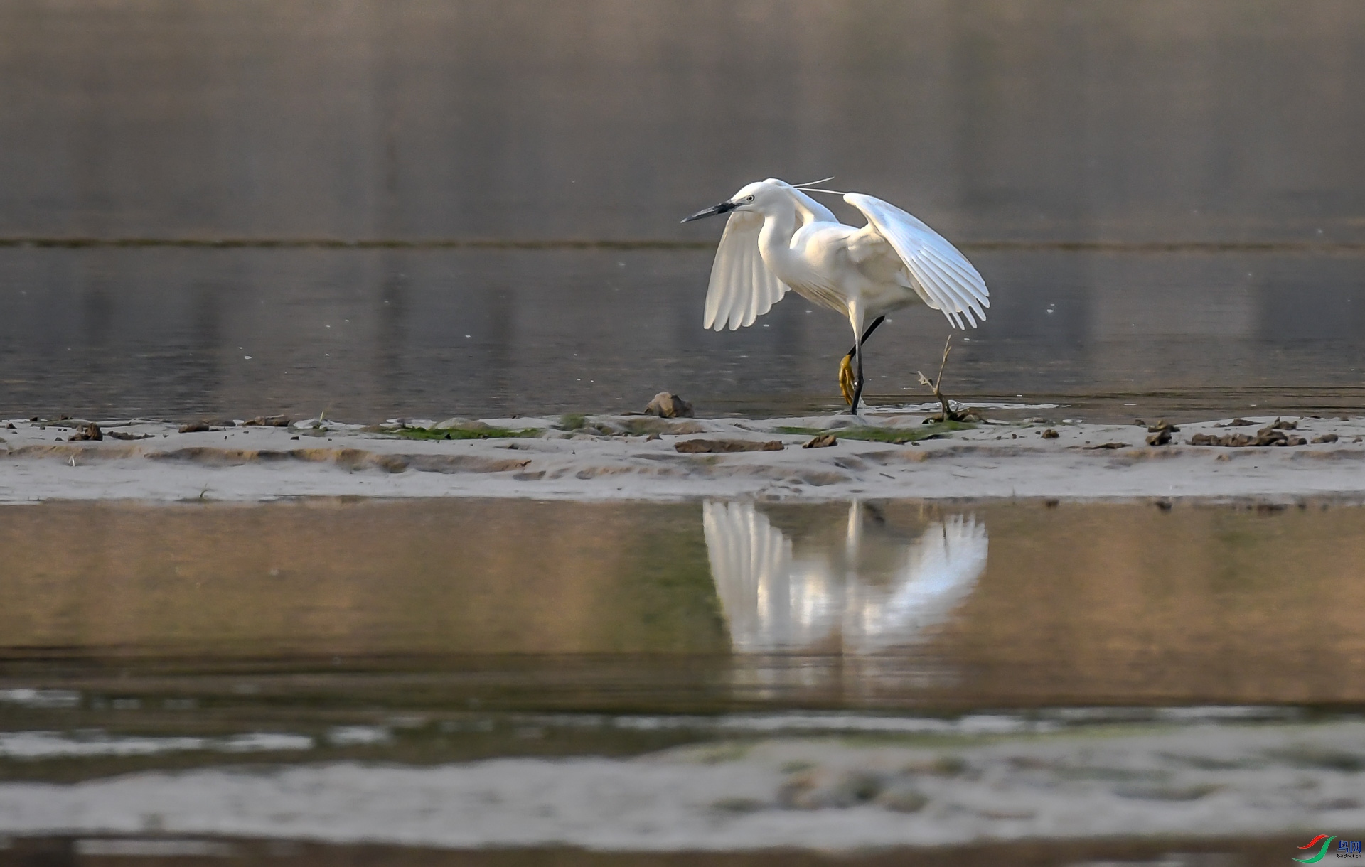 DSC_4471.jpg