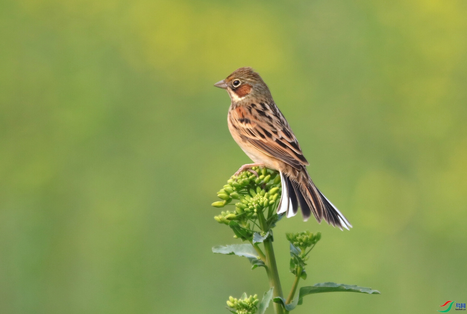 �����ҷ�  ��ʦ�������Ĵ�ʡ������������1.jpg