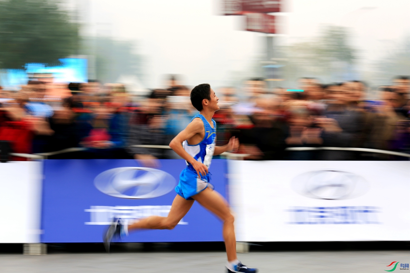 IF8A1664c_����.jpg