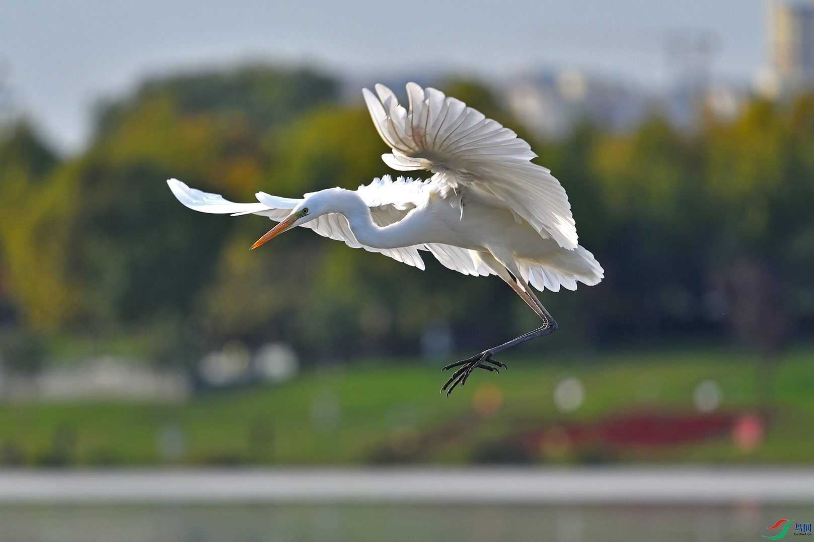 DSC_7510_����.jpg