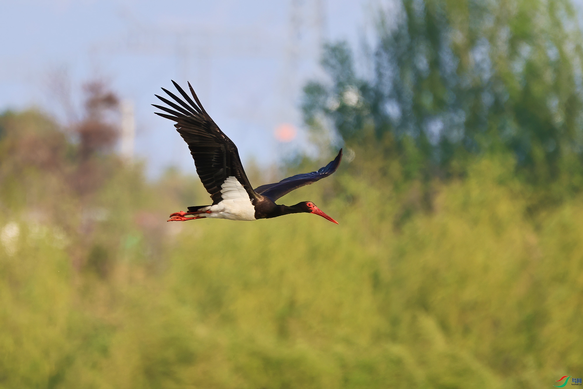 DN4A3727-3.jpg