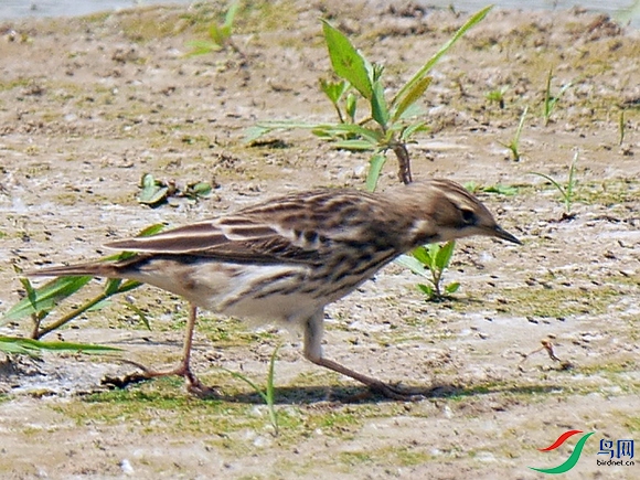 P8390200 - ���� (2).JPG