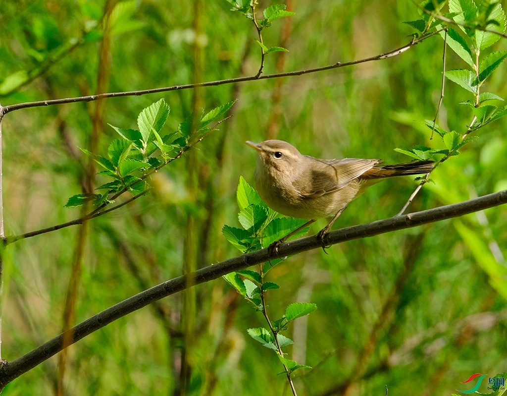 DSCF8825.JPG