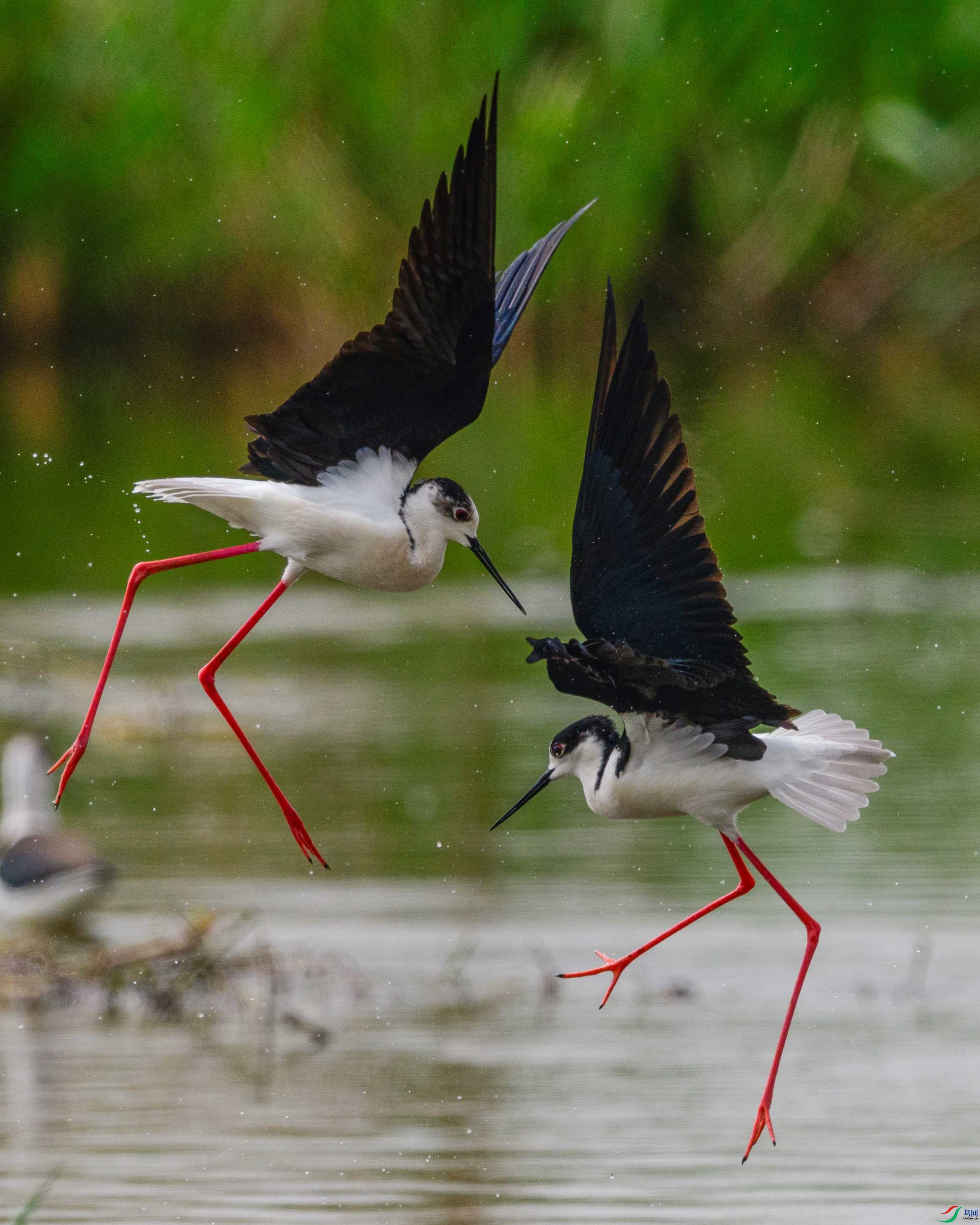 _6661215 ����.jpg