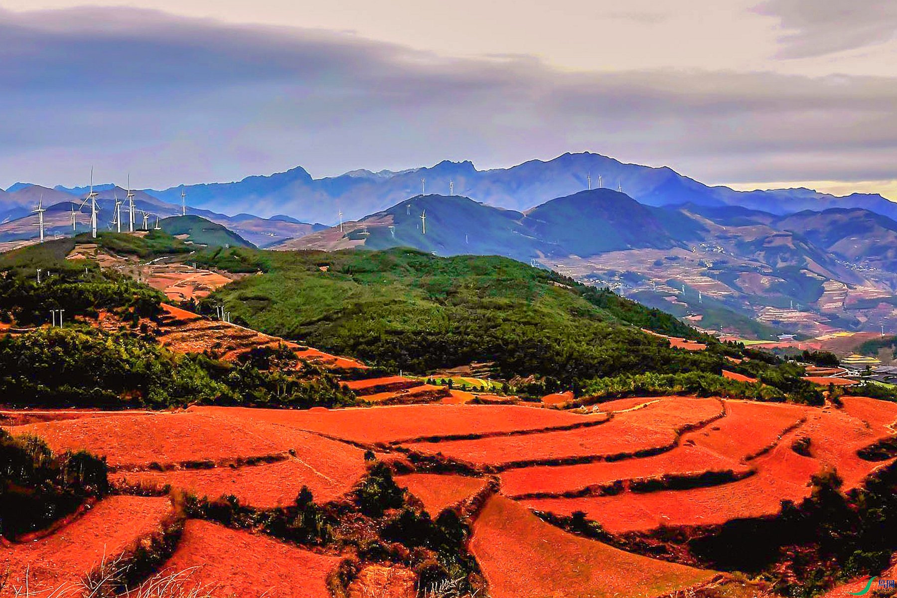 21 _����.jpg