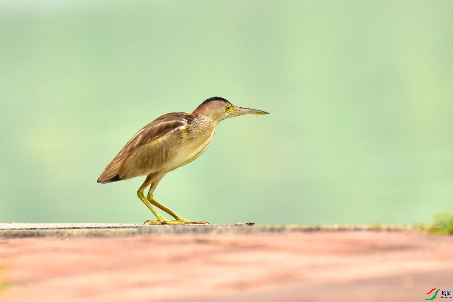 DSC_8789.JPG