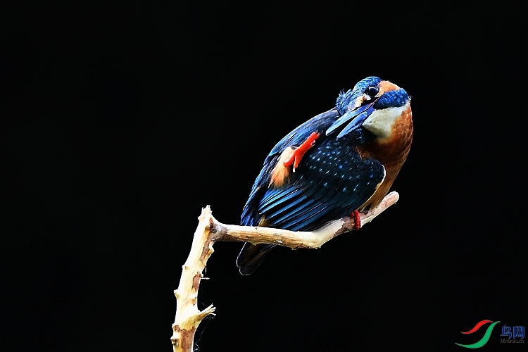 DSC_5345.JPG