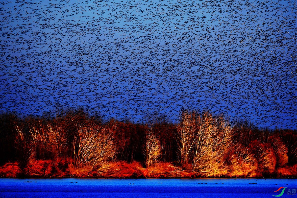 �������輯�ƺӿڡ����ž���13954667308 .jpg