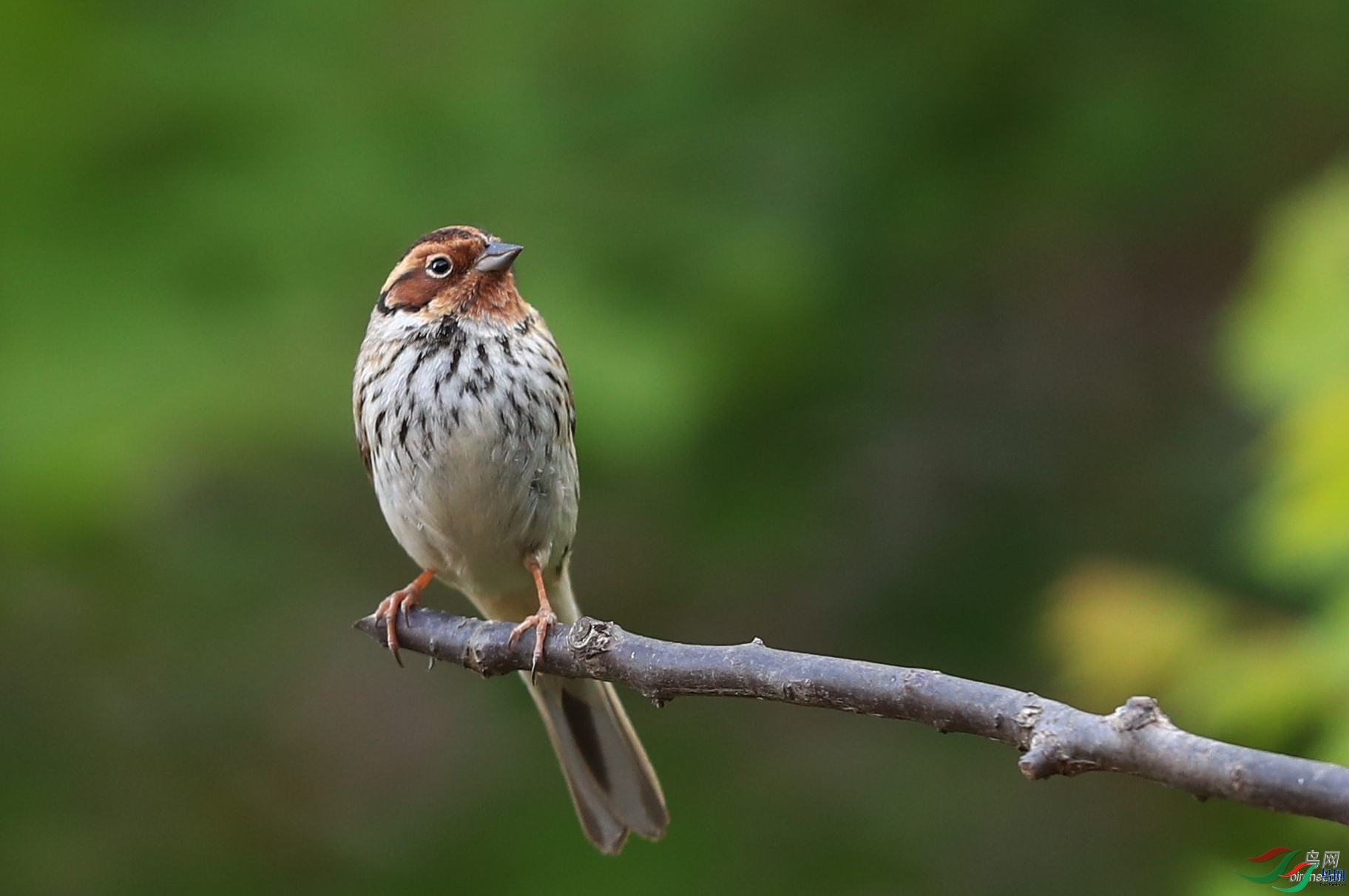 ���  ��ʦ����.jpg