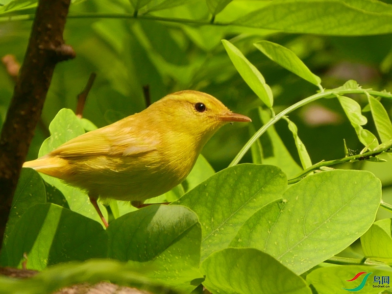 P8450540 - ���� (2).JPG