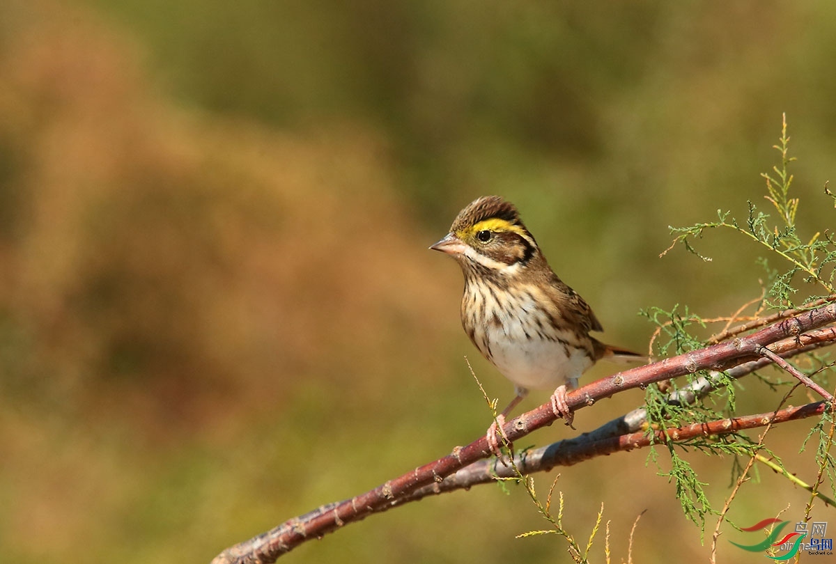 ������  ��ʦ������ɽ��ʡ Ϋ���в�����.jpg