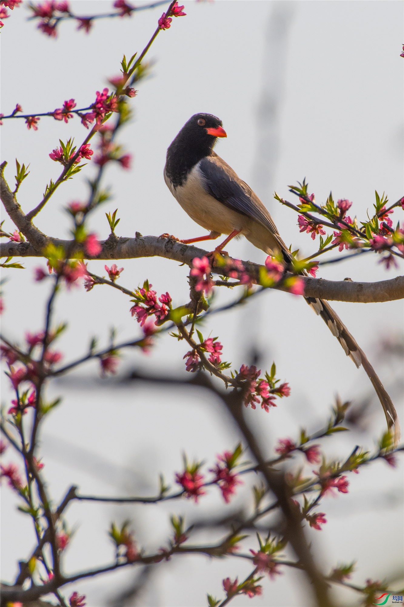 SZD_0725_����.jpg