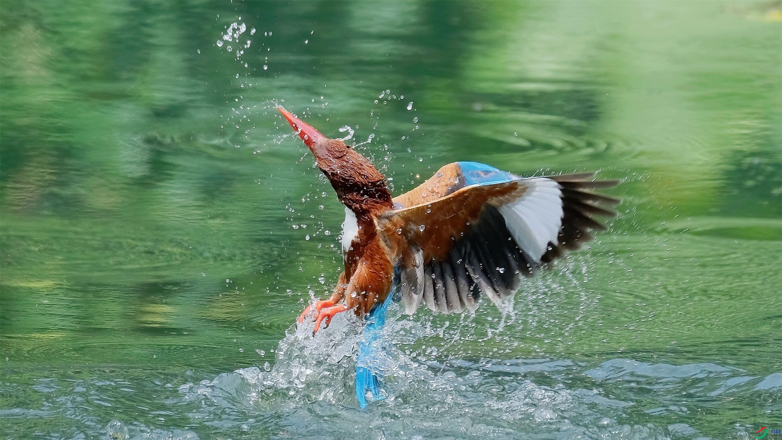 DSCF8949_����-DeNoiseAI-denoise_����_���� (1).jpg