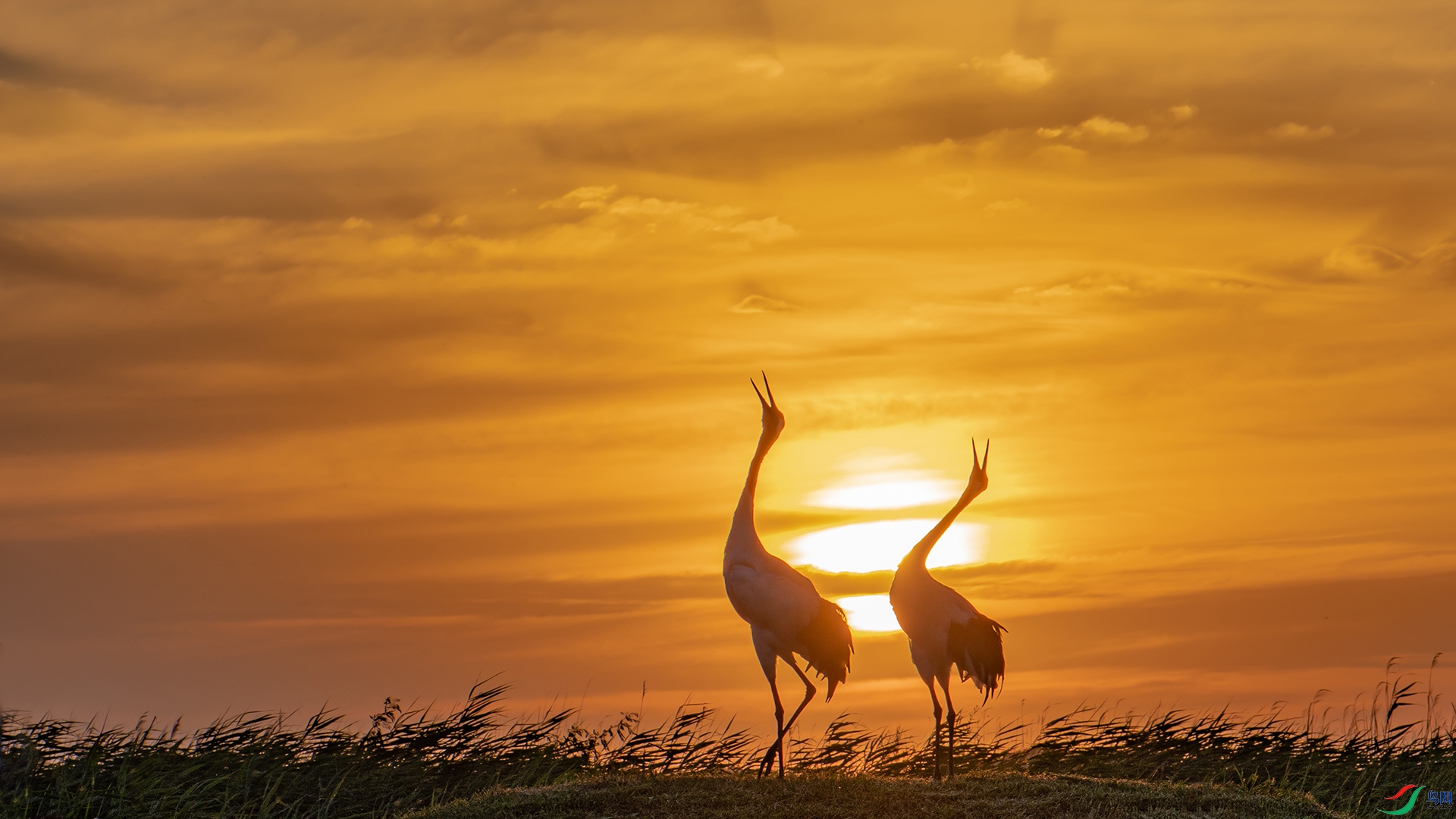 �����Ÿ�_DSC8316-1.jpg