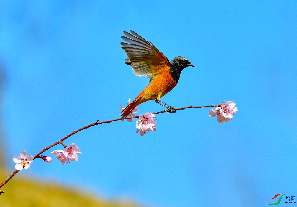 ����֮��������� 13909902434.JPG