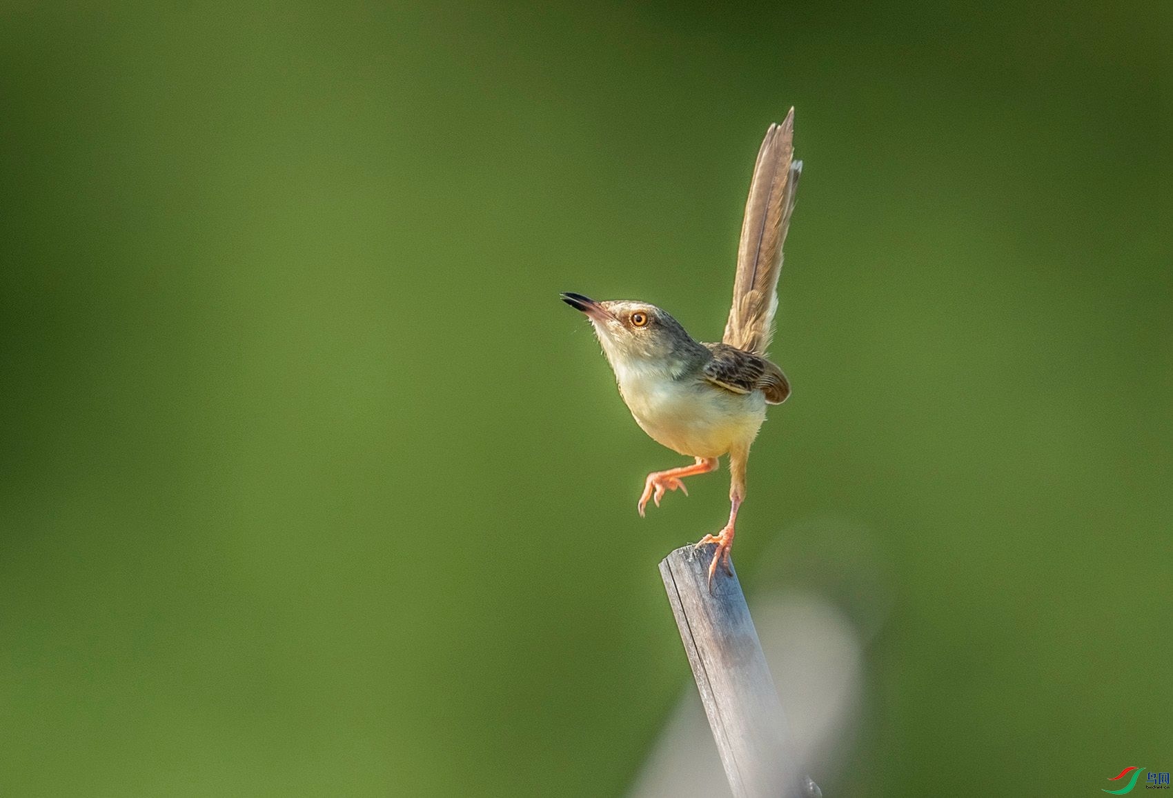 DSC_3874.jpg